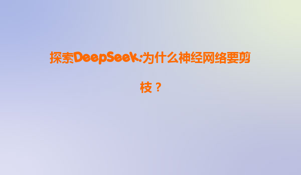 探索DeepSeek:为什么神经网络要剪枝？
