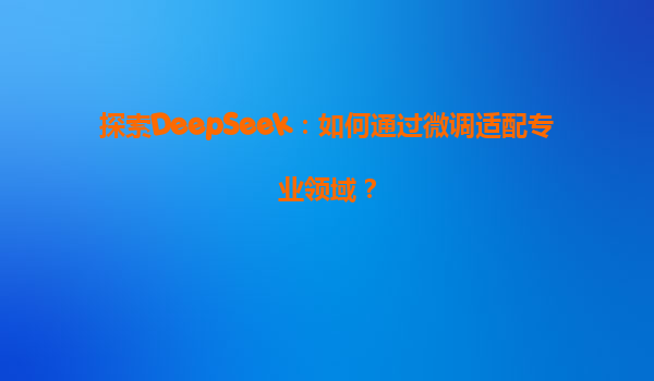 探索DeepSeek：如何通过微调适配专业领域？