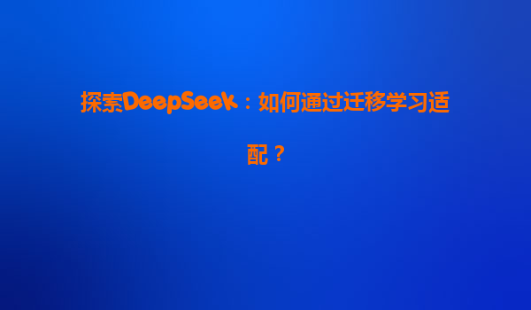 探索DeepSeek：如何通过迁移学习适配？