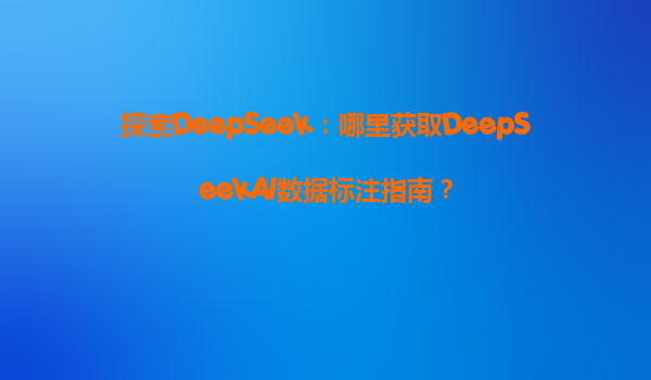 探索DeepSeek：哪里获取DeepSeekAI数据标注指南？