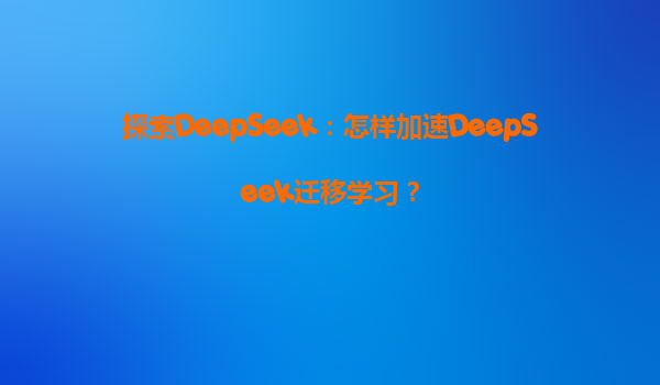 探索DeepSeek：怎样加速DeepSeek迁移学习？