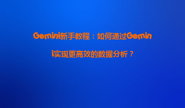 Gemini新手教程：如何通过Gemini实现更高效的数据分析？