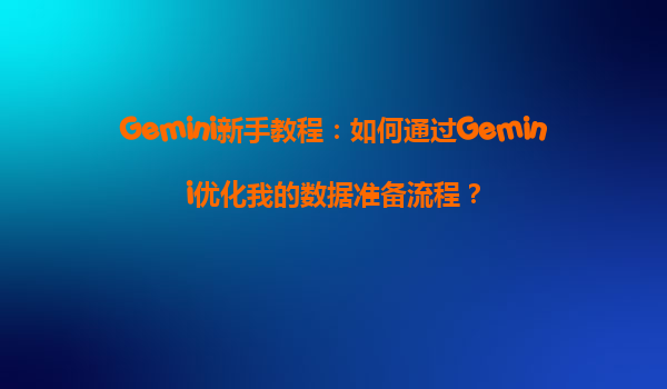 Gemini新手教程：如何通过Gemini优化我的数据准备流程？