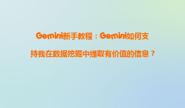 Gemini新手教程：Gemini如何支持我在数据挖掘中提取有价值的信息？