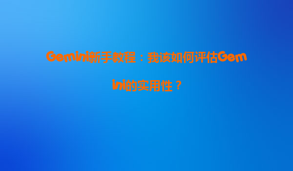 Gemini新手教程：我该如何评估Gemini的实用性？