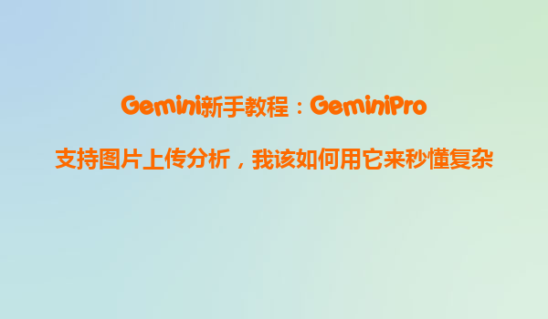 Gemini新手教程：GeminiPro支持图片上传分析，我该如何用它来秒懂复杂概念？