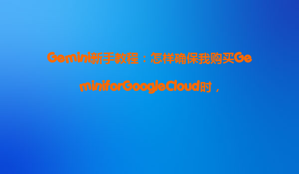 Gemini新手教程：怎样确保我购买GeminiforGoogleCloud时，选择了最划算的12个月合约？