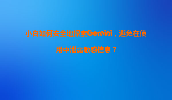 小白如何安全地探索Gemini，避免在使用中泄露敏感信息？